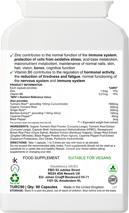 Turmeric Max | With Vitamin B6, Zinc & Botanicals – 90 Capsules -  Vitadefence® - Vitadefence®
