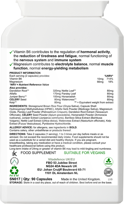 Dandelion Multi | With Vitamin B6, Magnesium & Botanicals – 90 Capsules -  Vitadefence® - Vitadefence®
